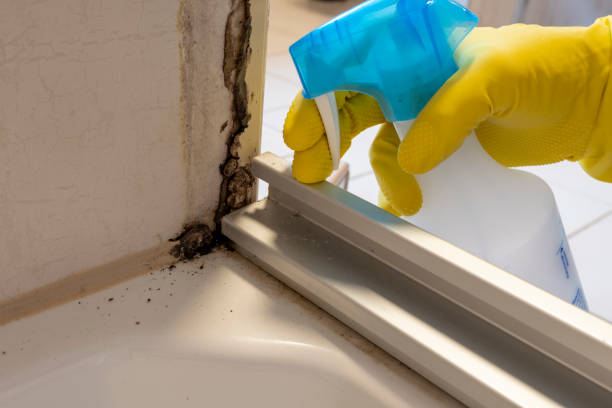 Home Mold Removal in West Wareham, MA