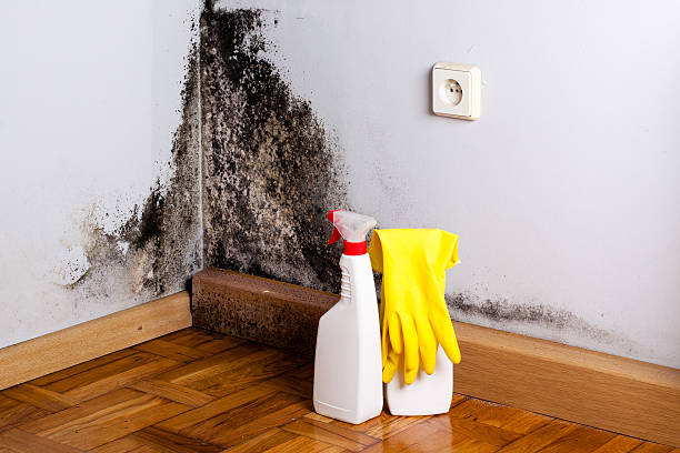Water Damage Restoration in West Wareham, MA